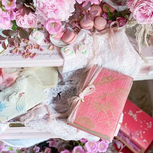 The Pink Fairy Book