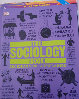 The Sociology Book: Big Ideas Simply Explained (DK Big Ideas)